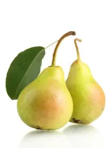 two pears on white background